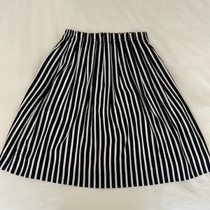 JCrew Skirt
